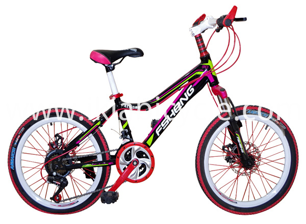 Super Aluminum Frame and Rim Racing Bike