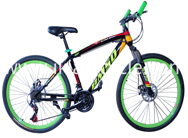 Safe and Green Folding Track bicycle
