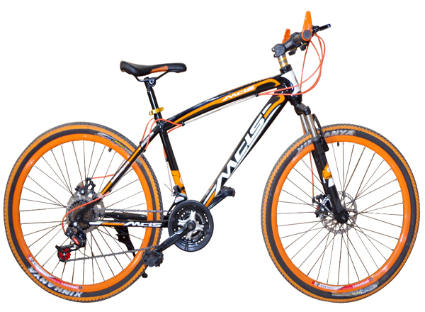Racing Bike for Men