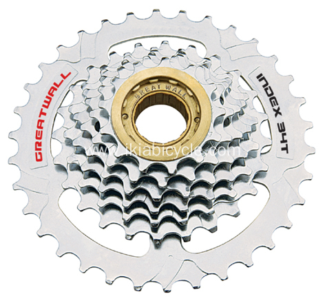 Variable Speed Bikes Freewheel