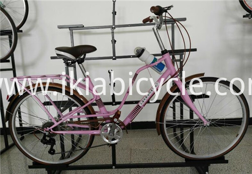 City Bike Cycling for Lady
