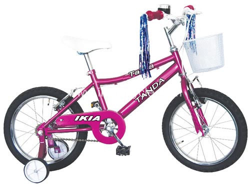 Kids Bike with Support Wheel