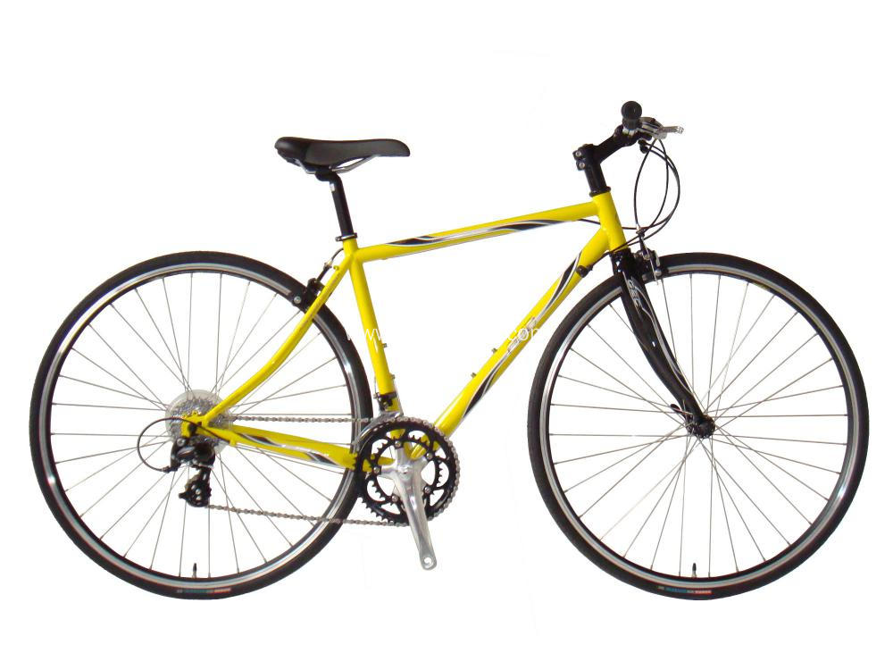 Single Speed Bike Alloy Fixed Gear Bike