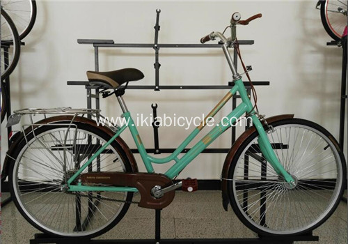City Bike Cycling for Lady
