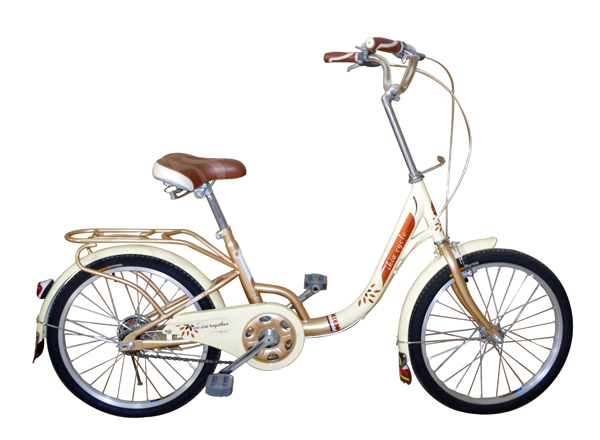 Nice Women Bicycle Lady Bike