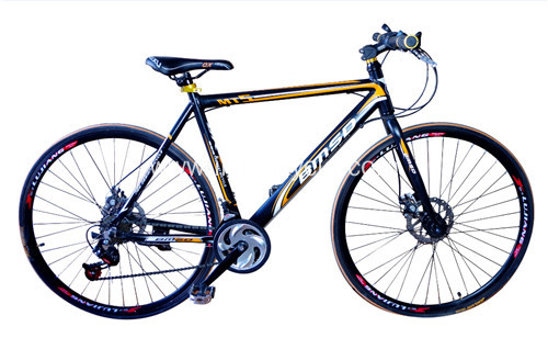 New Model Steel Mountain Bike