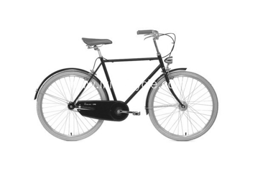 Classic Bike Vintage Bike Lady Bike