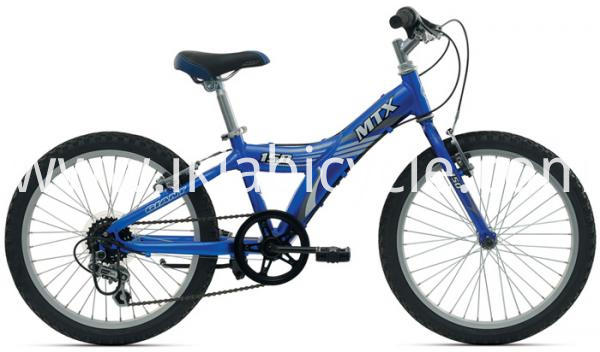 16 Inch Children Bike with Training Wheels