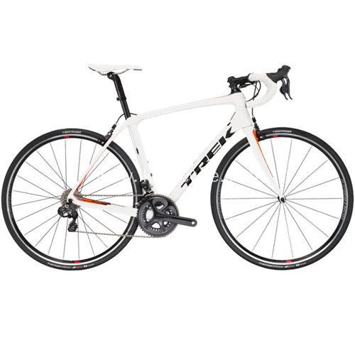 Single Speed Bike Alloy Fixed Gear Bike