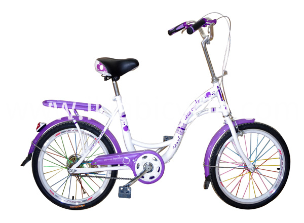 Design City Bike Lady Bike Different Size