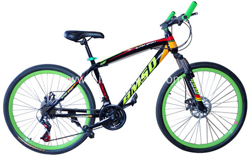 Disc-Brake Mountain Bike