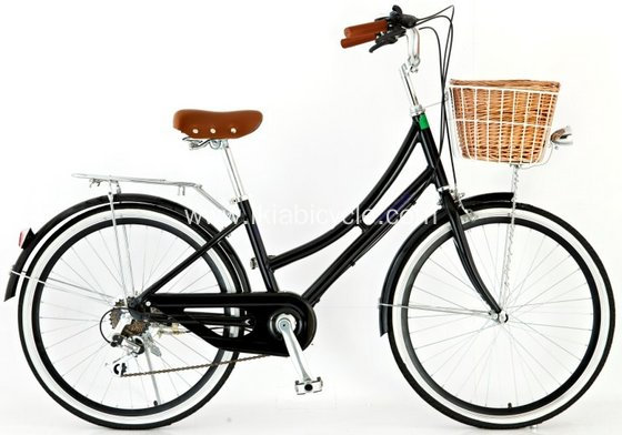Steel Ladies Bike City Bicycle