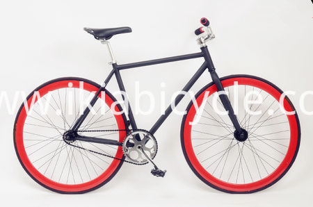 Colorful 700C Fixed Gear Bike