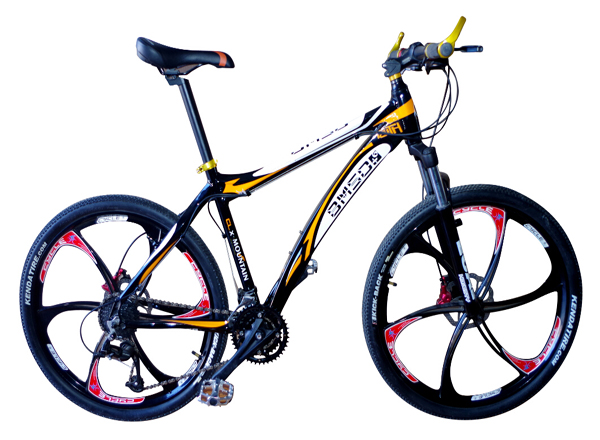 coloful MTB bike